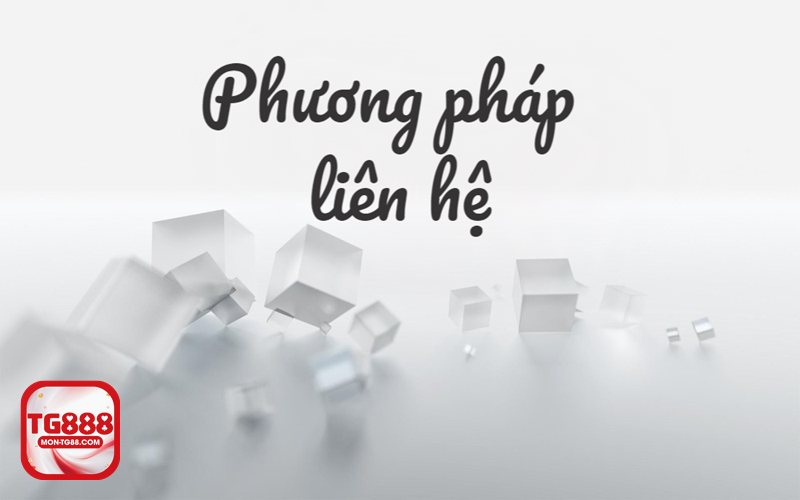Liên Hệ tg888 - Chuẩn bị dữ liệu trước khi gửi yêu cầu