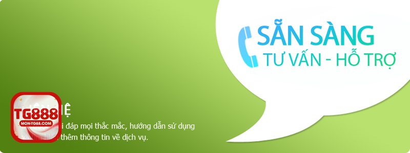 Liên Hệ tg888 - Khi người mới cần hướng dẫn cụ thể