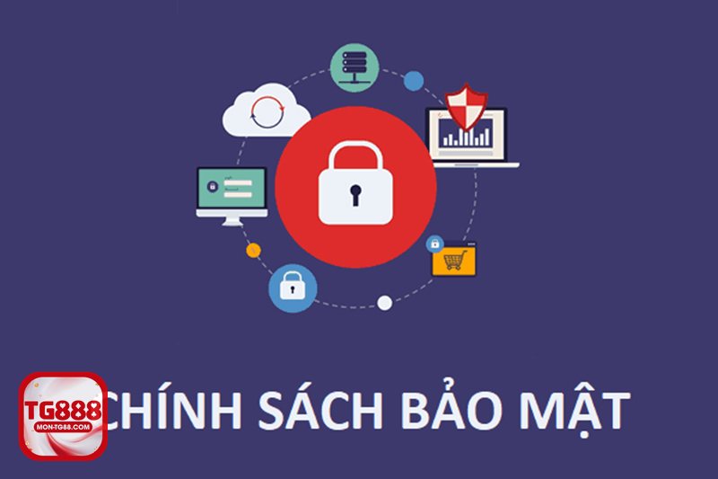 Chính Sách Bảo Mật - Cách dữ liệu được ghi nhận và mục đích sử dụng