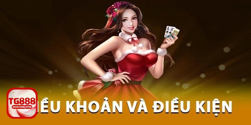 Điều Khoản Dịch Vụ - Điều Khoản Dịch Vụ tại tg888 giữ vai trò gì?